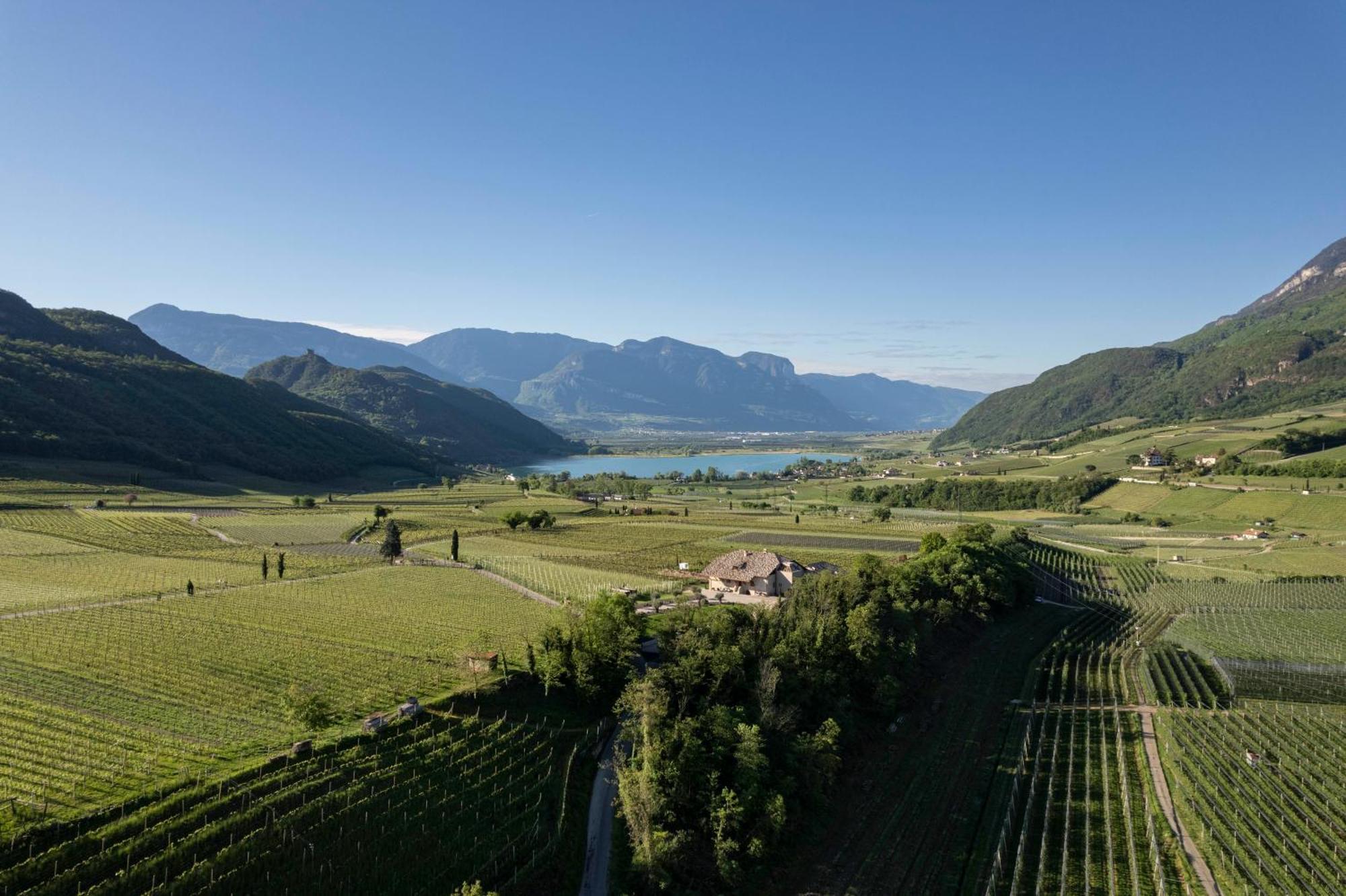 Ansitz Battisti Suites (Adults Only) Caldaro Kültér fotó