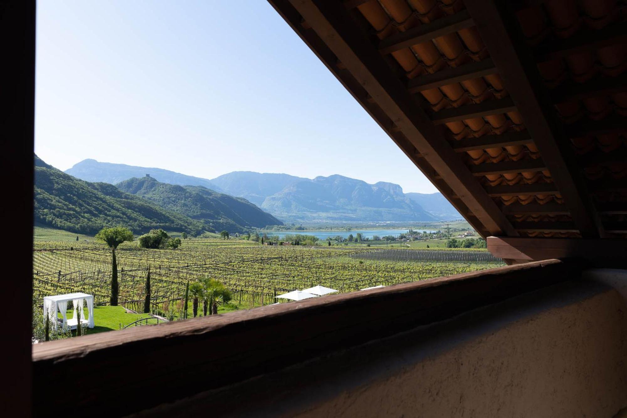 Ansitz Battisti Suites (Adults Only) Caldaro Szoba fotó
